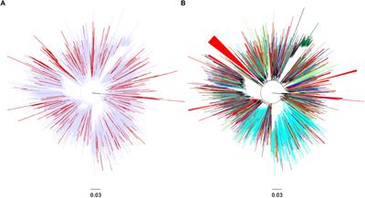 Spatiotemporal Characteristics of the Largest HIV-1 CRF02_AG Outbreak in Spain: Evidence for Onward Transmissions